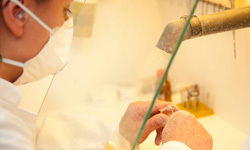 Zahntechnikerin arbeitet mit Schutzmaske an Zahnersatz im Dentallabor hinter Glas.